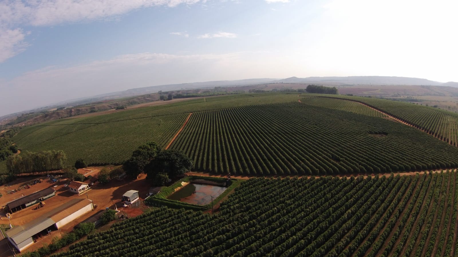 Nossa Essência - Fazenda Transagro